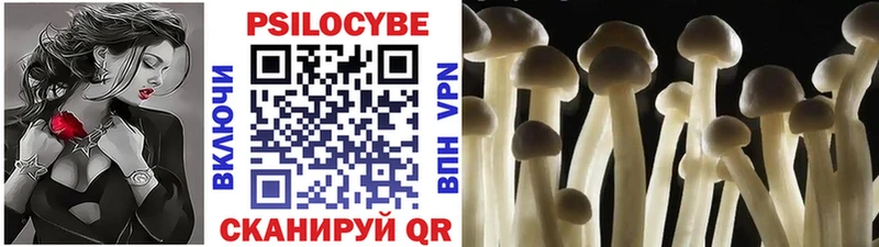 Галлюциногенные грибы Psilocybine cubensis наркошоп Александров