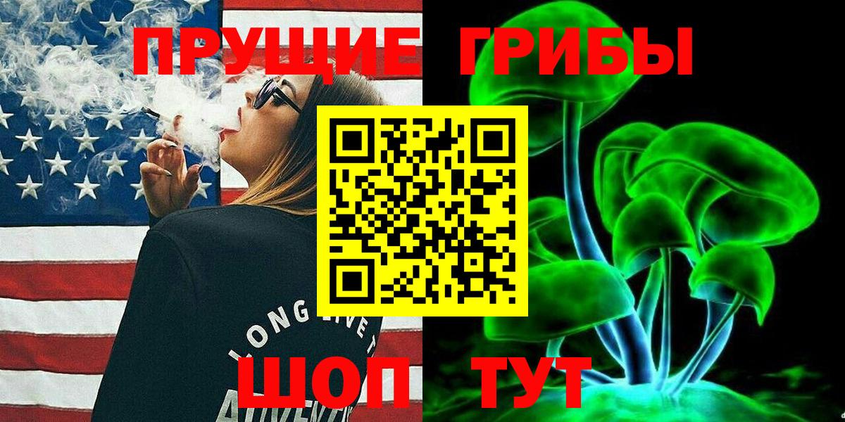 Псилоцибиновые грибы Cubensis  Вход с VPN  Александров 